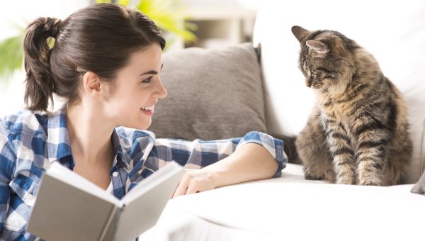Понимают ли кошки человеческую речь? Могут ли коты понять, что люди с ними разговаривают и ругают их?